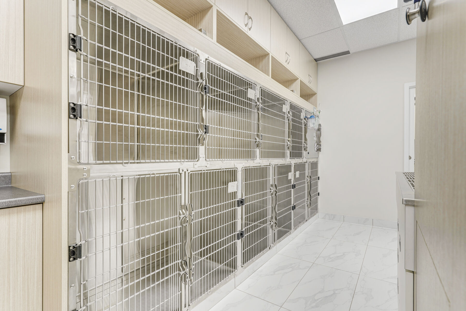 Dedicated animal kennel area within the veterinary clinic