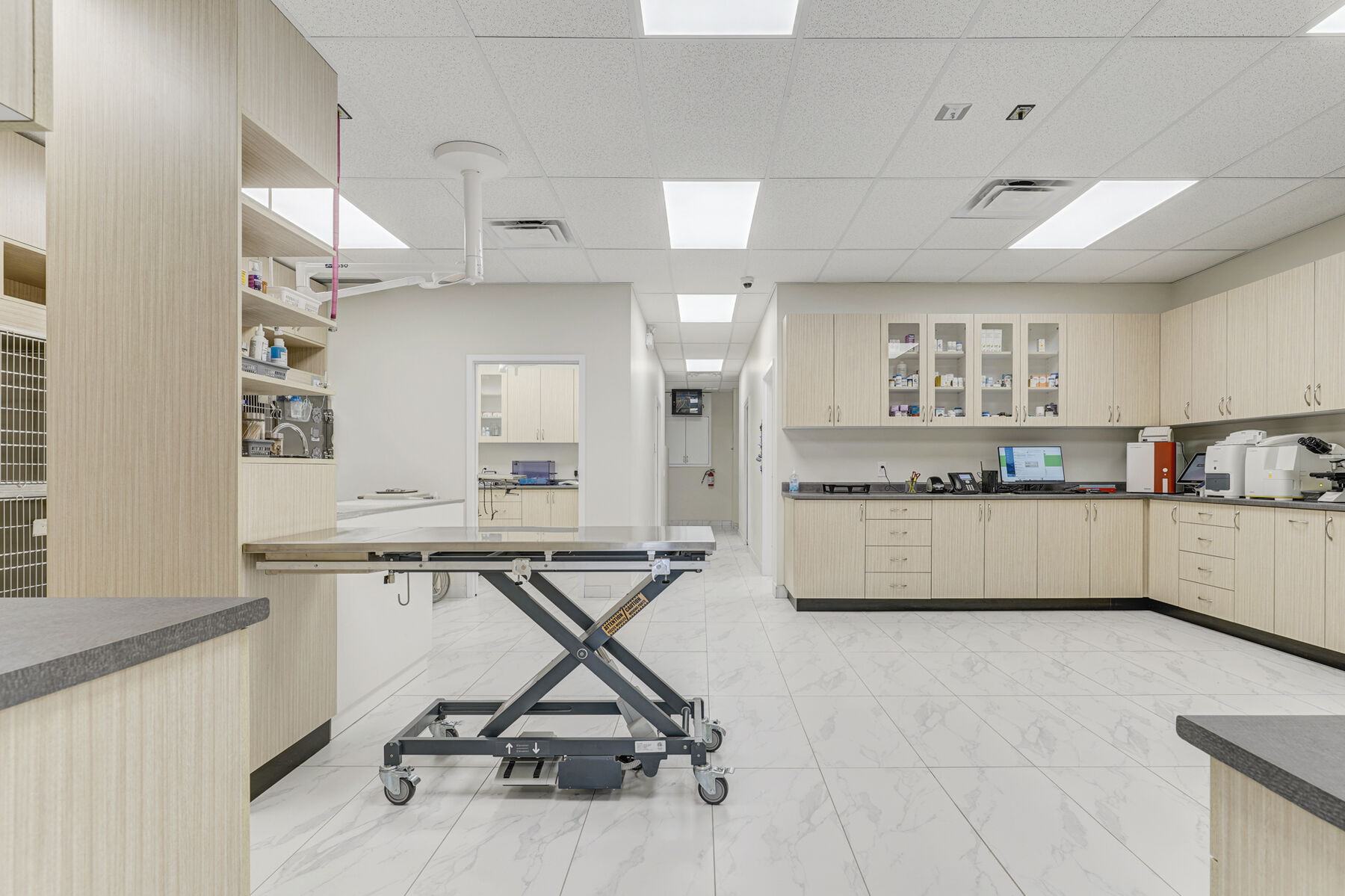 Veterinary clinical treatment area with built-in cabinetry