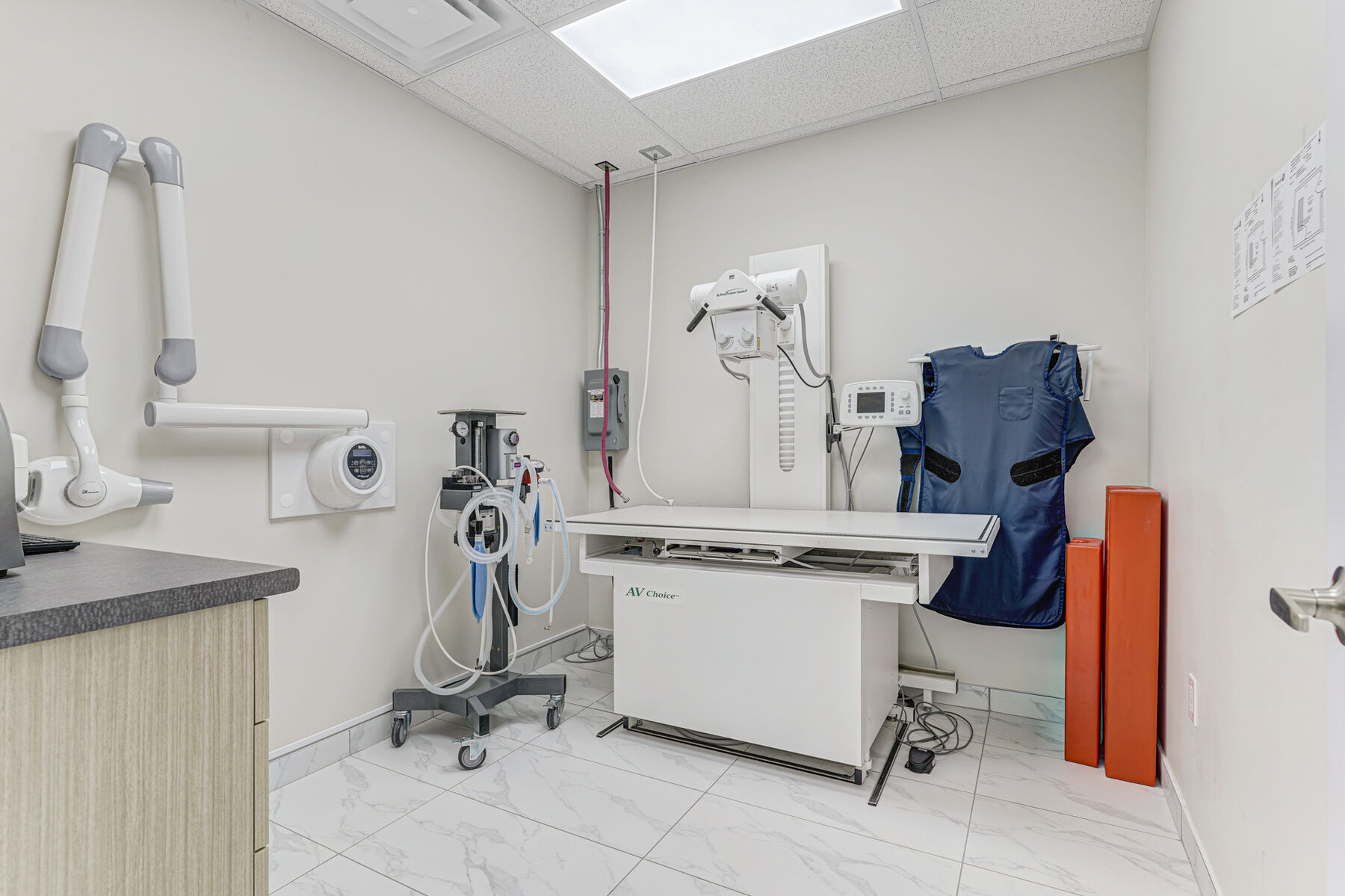 Veterinary diagnostic imaging room with specialized equipment