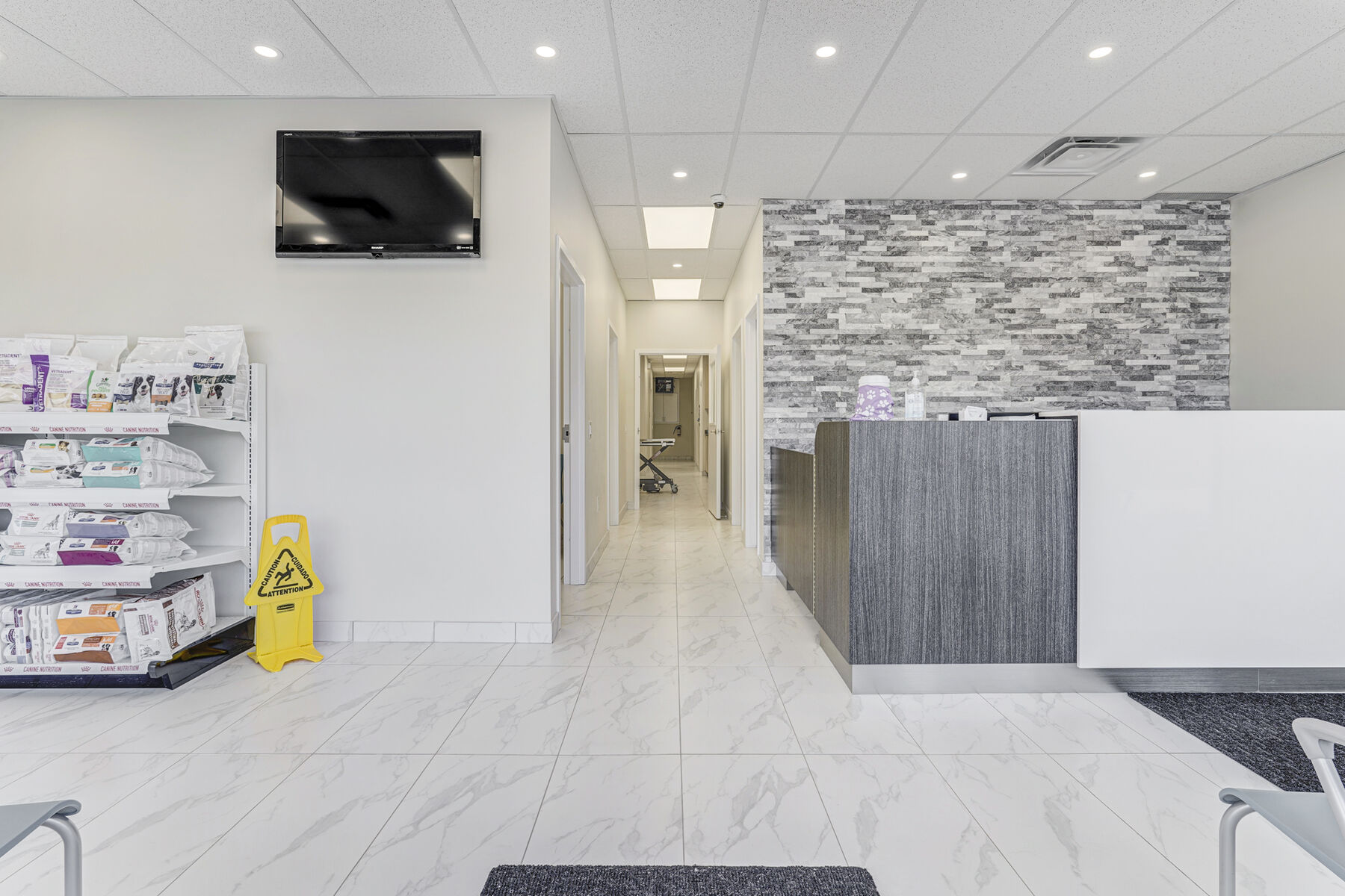 Bright veterinary clinic reception and waiting area