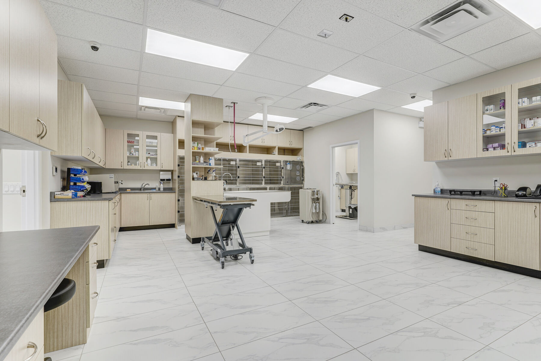 Open veterinary treatment room and work area